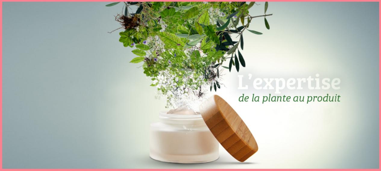 Unveiling the French Skincare Brand Phytodia: Innovative Technology for 